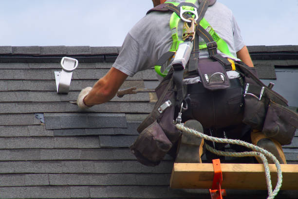 Best Flat Roof Repair Services  in Hannibal, MO