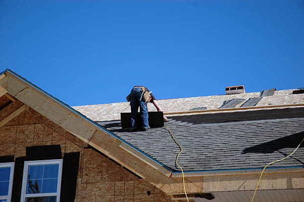 Best Roof Repair Services  in Hannibal, MO