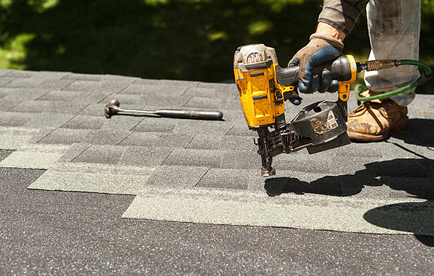 Best Roof Gutter Cleaning  in Hannibal, MO