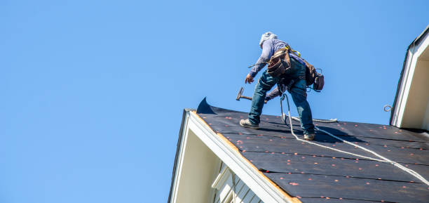 Best Roof Waterproofing Services  in Hannibal, MO